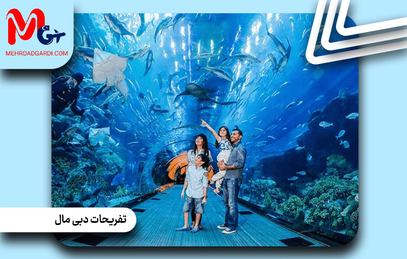 تفریحات دبی مال: یک تجربه استثنایی از سرگرمی و خرید